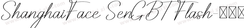 ShanghaiFace SenGBT Flash字体转换